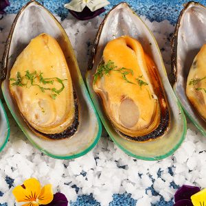 Vẹm Xanh Organic New ZeaLand- New Zealand Organic Greenshell Mussels